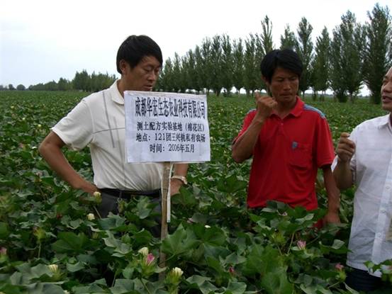 06年在農八師121團私人農場示范地.jpg