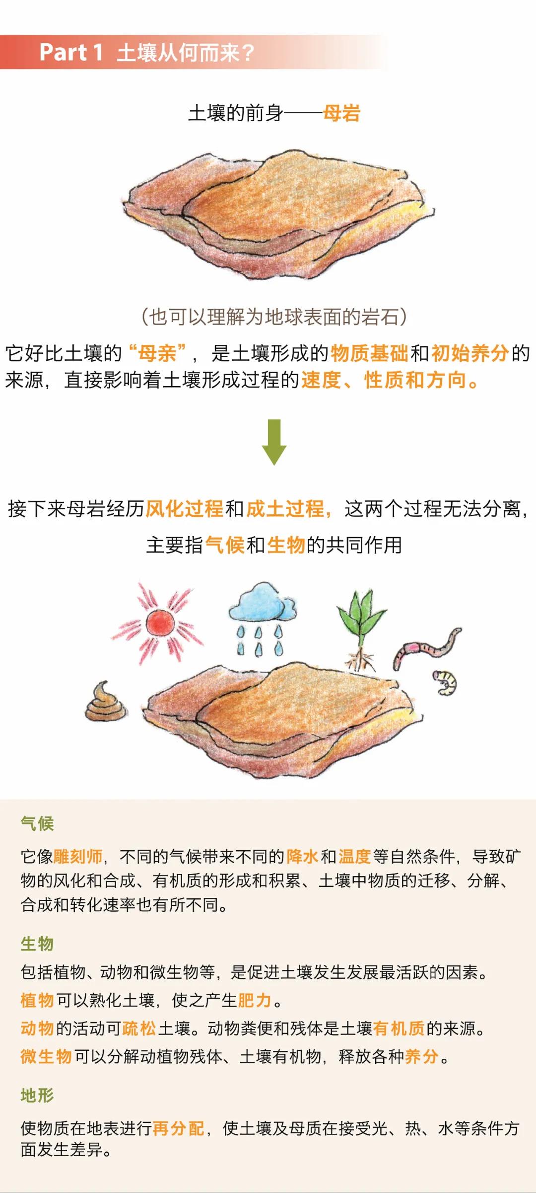 微信圖片_20201206173433.jpg 微信圖片_20201206173433.jpg