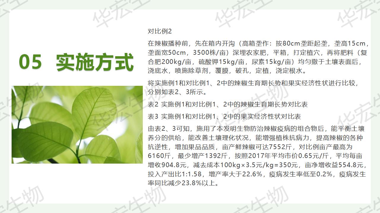 一種生物防治辣椒疫病的組合物及制備方法和應用_22.jpg