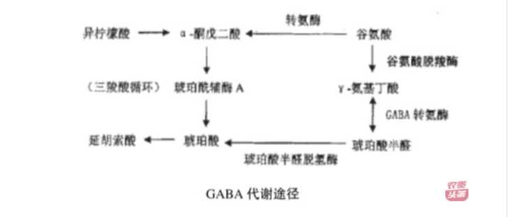 微信圖片_20250510203623.png 微信圖片_20250510203623.png