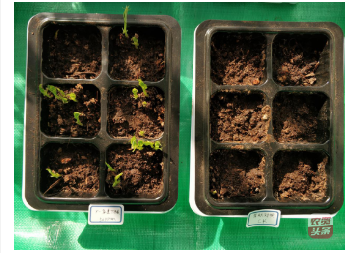 微信圖片_20250510203623.png 微信圖片_20250510203623.png