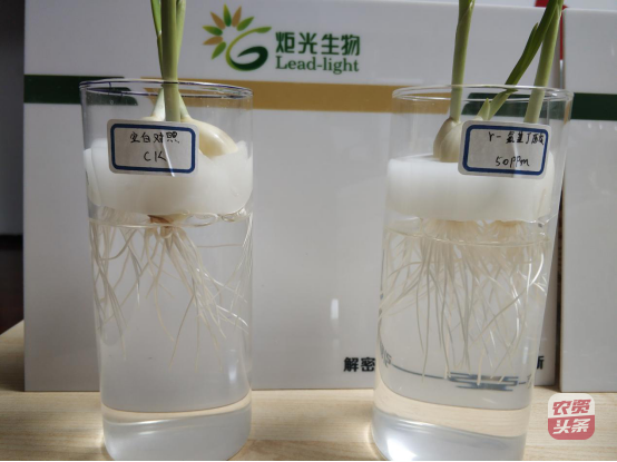 media_1578474542127.png media_1578474542127.png