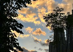 2025上半年，中國(guó)企業(yè)出海刷新全球副本：更猛、更強(qiáng)、更聰明